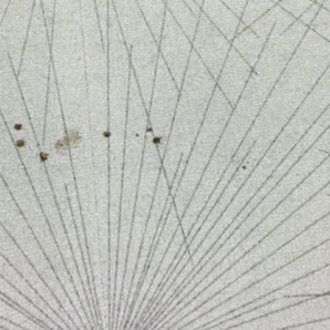 Stained carpet before treatment