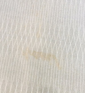 Carpet stain before treatment - Big Red Carpet Cleaners, Singapore