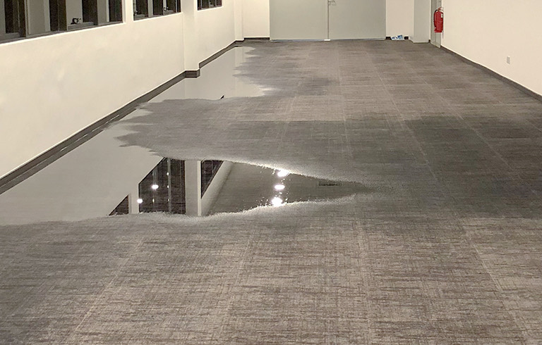 Drying Carpet after Water Damage