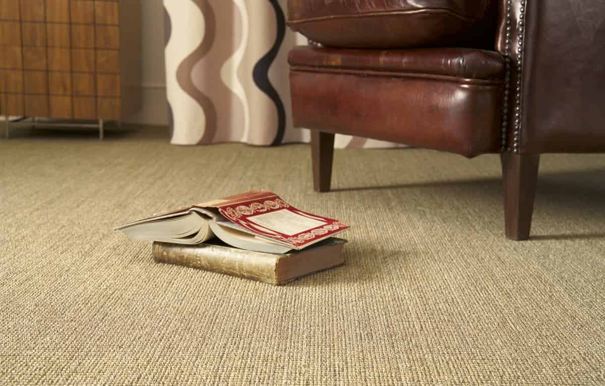 How to Care for Your Wall-to-Wall Carpets
