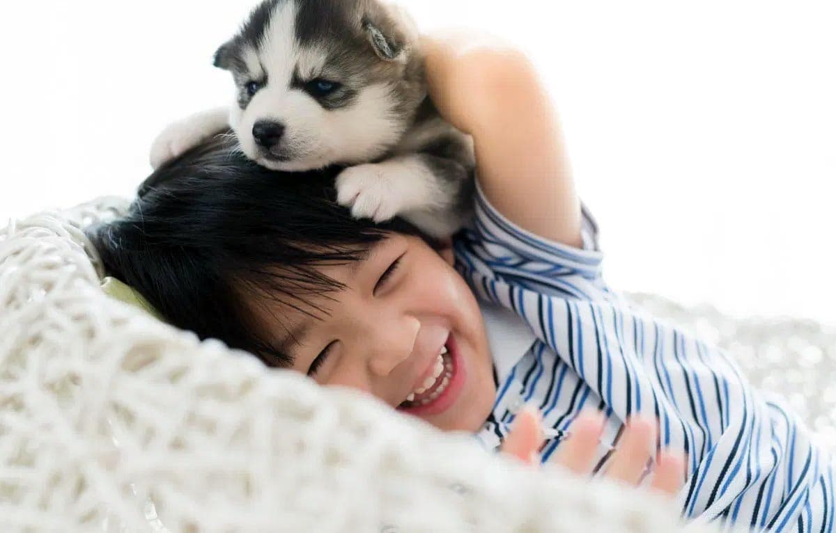 Is Pet Dander A Threat To Your Home?