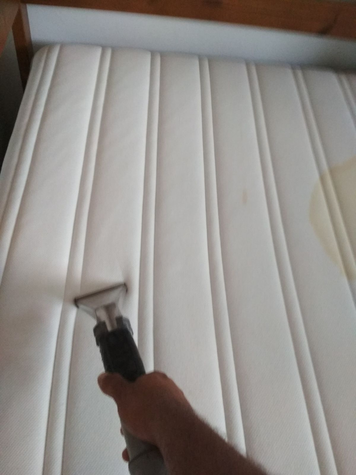 The extraction wand lifting soil out of a mattress