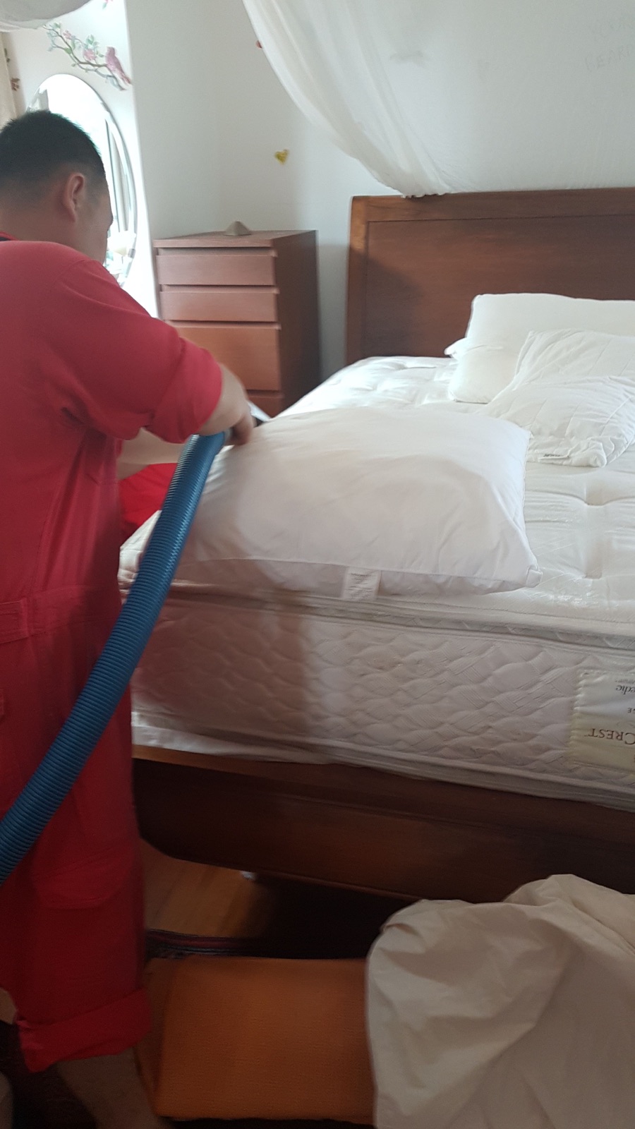 Cleaning the mattress edge and pillows in a family bedroom