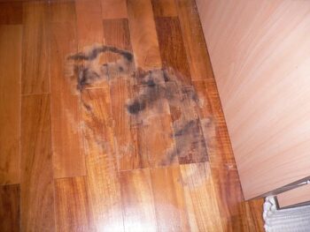 Office wood polishing singapore parquet flooring maintenance