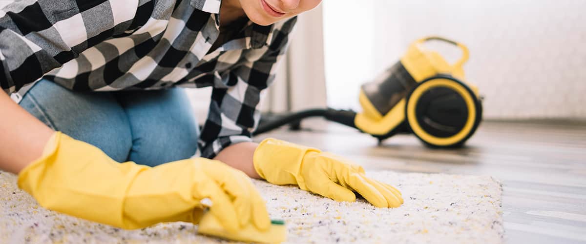 homemade deep carpet cleaning solution