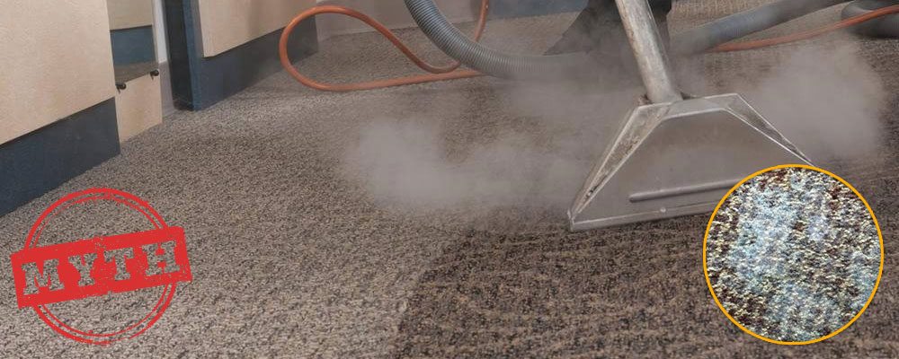 steam cleaning cause mold myth