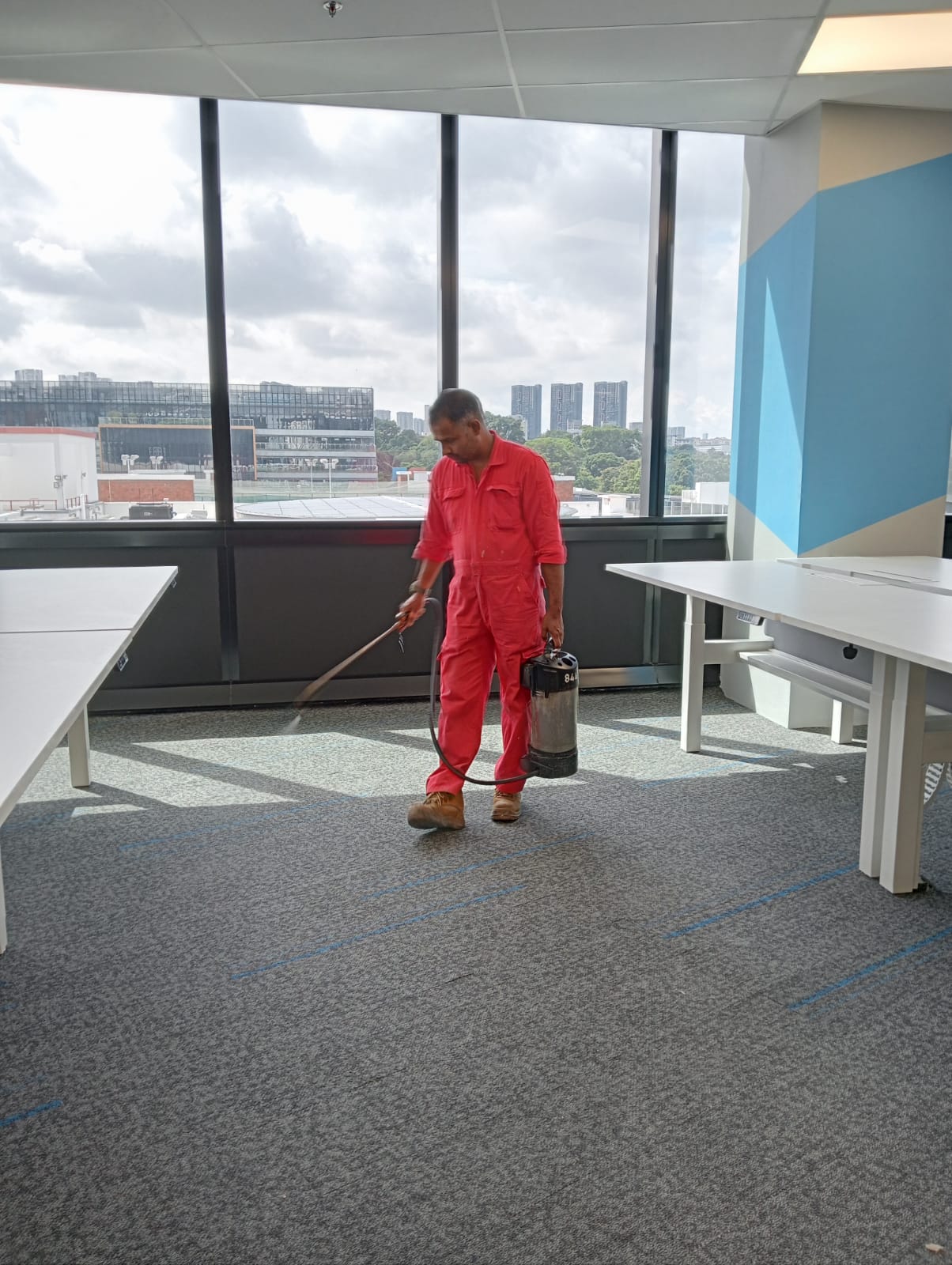 Freshly cleaned carpet in a bright Singapore living room, pile even and no visible staining