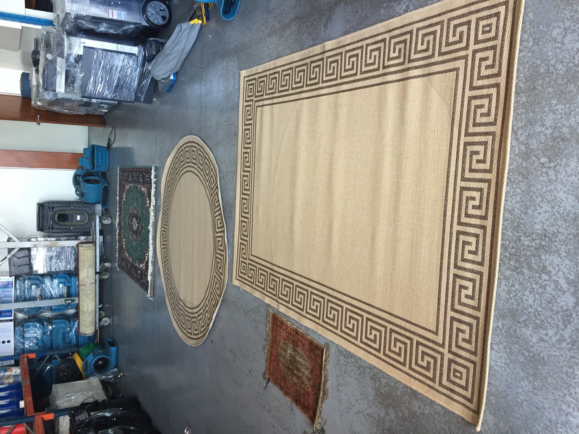 Oriental rug being professionally cleaned with controlled water extraction