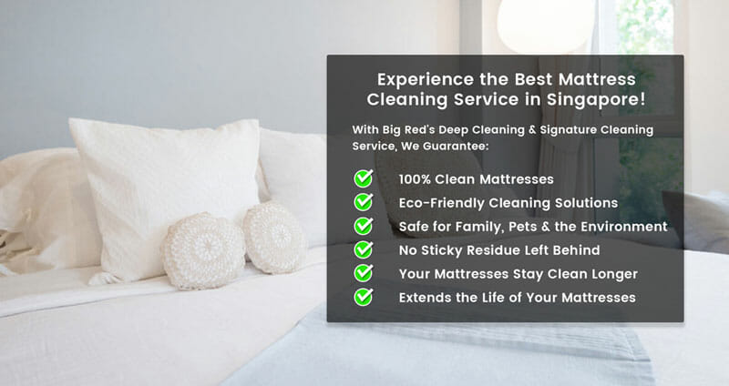 Affordable Mattress Cleaning in Singapore