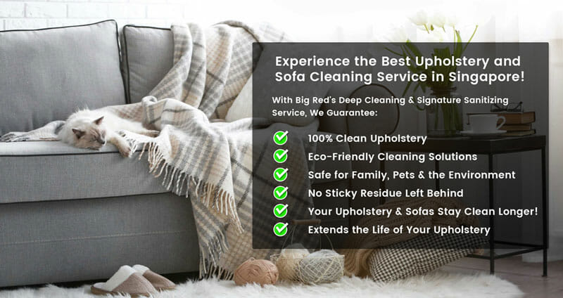 Upholstery Cleaning Singapore Services | Big Red Carpet Cleaners