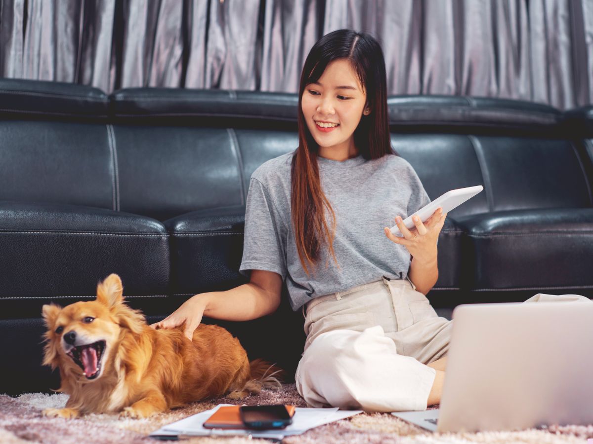 Carpet Cleaning Techniques: A Comprehensive Guide