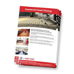 Commercial Carpet Cleaning