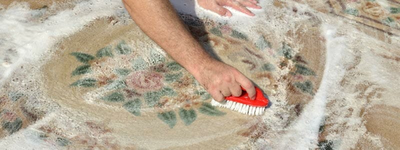 DIY Deep Rug Cleaning - Washing Your Rug