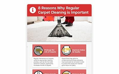 Singapore's Regular Carpet Cleaning Benefits in 2018