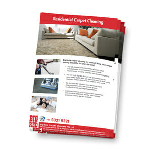 Residential Carpet Cleaning