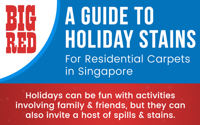 A Guide to Holiday Stains - Infographic - Big Red Carpet Cleaners, Singapore