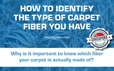 singapore-infographic-carpet-fiber-care-cleaning-maintenance